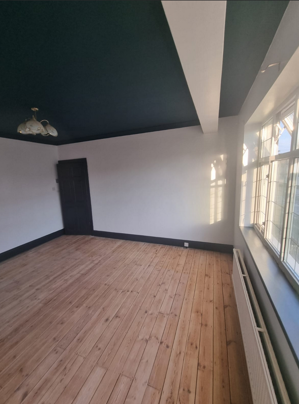 Bold green ceiling reception room